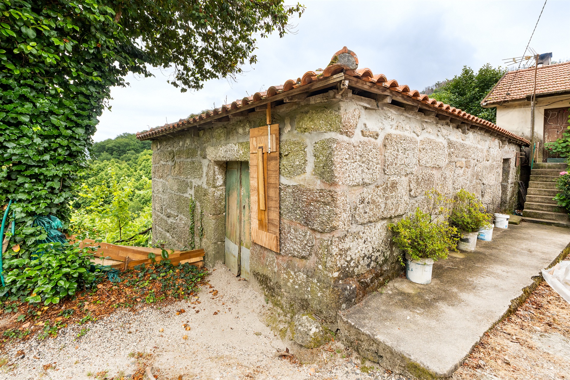  Farm, 3 bedrooms, for Sale - 物件實景