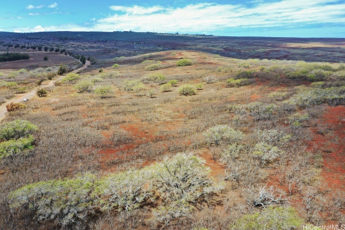 Maunaloa, Hawaii, 96770, United States, ,Land,For Sale,1977716