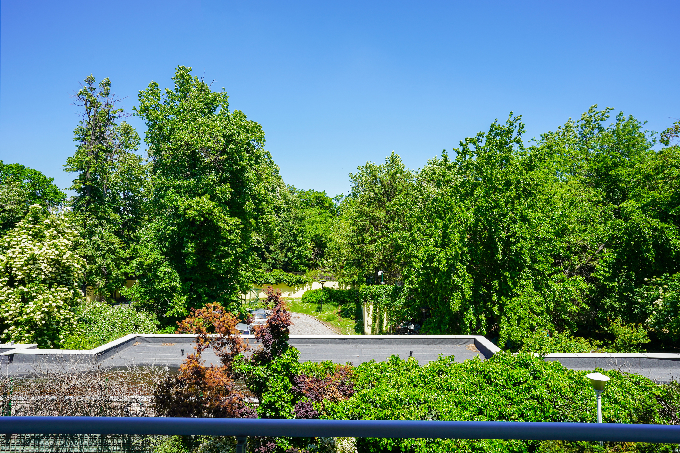  Elegant Apartment Overlooking Floreasca Lake in Primaverii, Bucharest - 物件實景