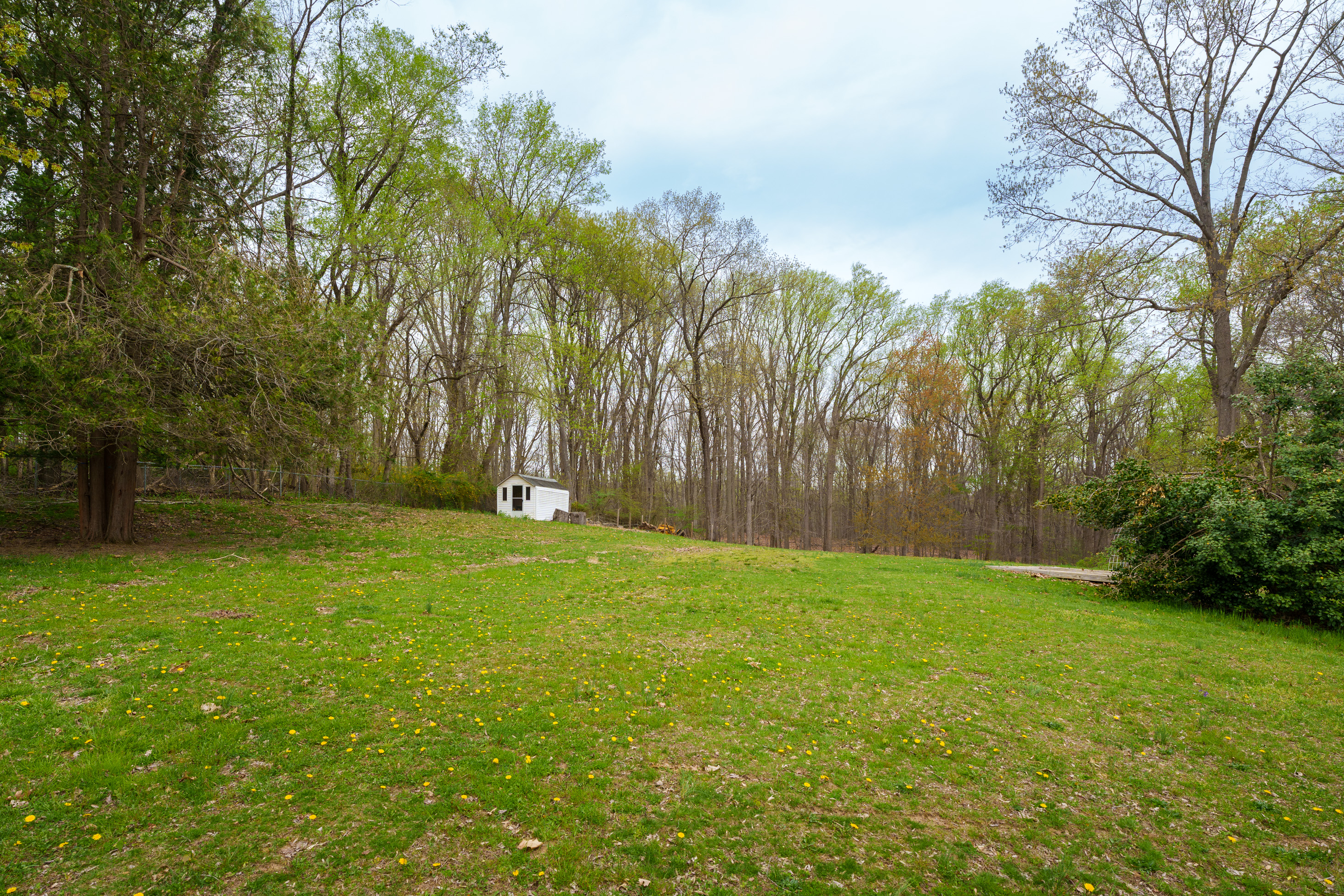  Scenic Backyard, Separate Apartment and Space to Spare - 物件實景