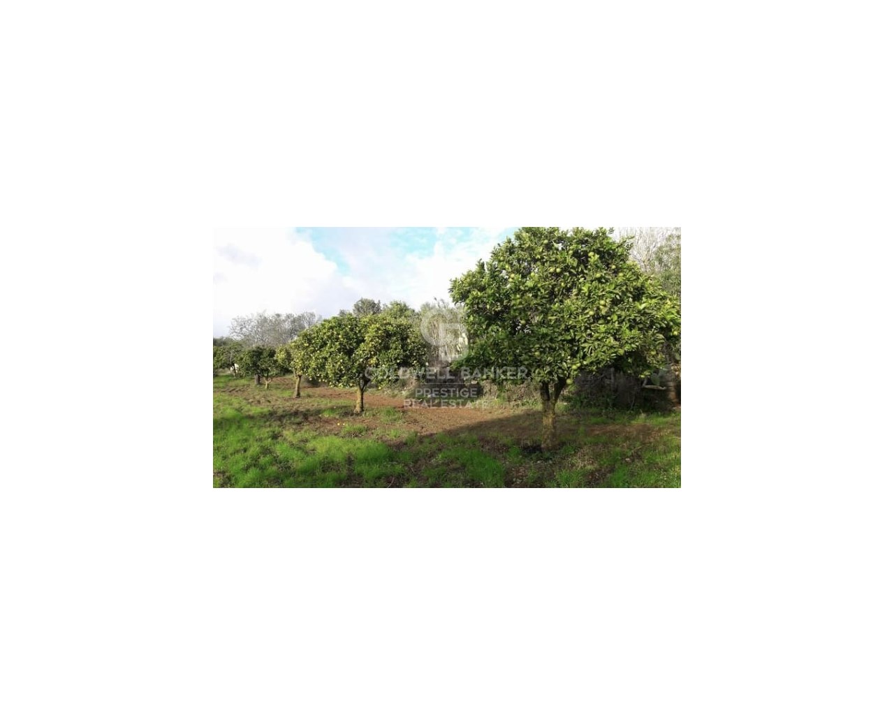 Mallorca, Art?, Art? Mallorca, Art?, Art? Mallorca, Artà, Balearic Islands, 07570, ES, 5 Bedrooms Bedrooms, ,2 BathroomsBathrooms,Residential,For Sale,Mallorca, Art?, Art? Mallorca, Art?, Art? Mallorca,1623997