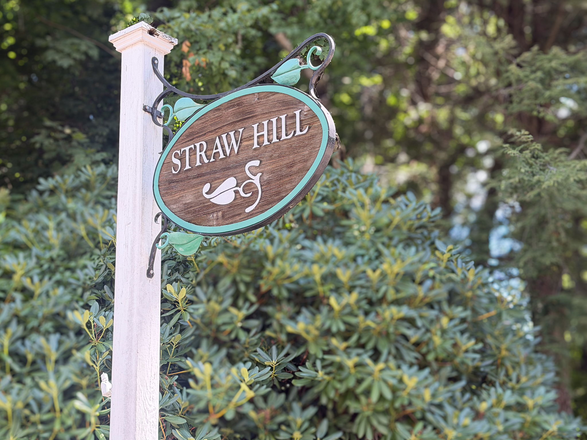  203 Straw Hill Road - 物件實景