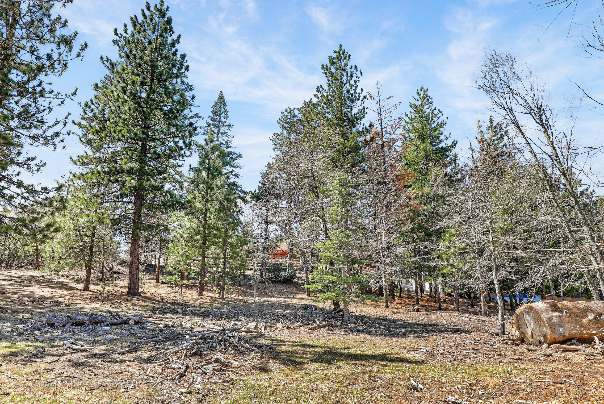  0 Cepu Rd, Running Springs , CA 92382 - 物件實景
