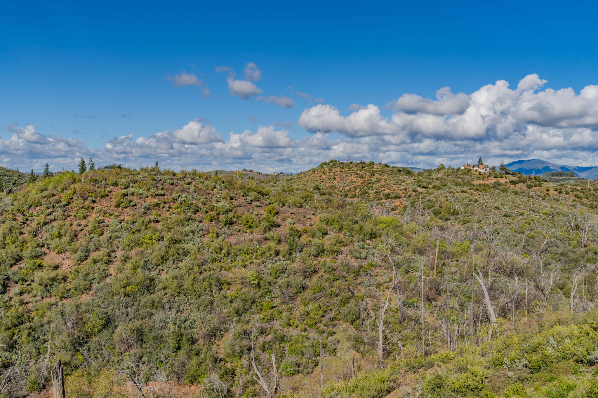  9515 Ham Luddy Road, Mountain Ranch, CA 95246 - 物件實景