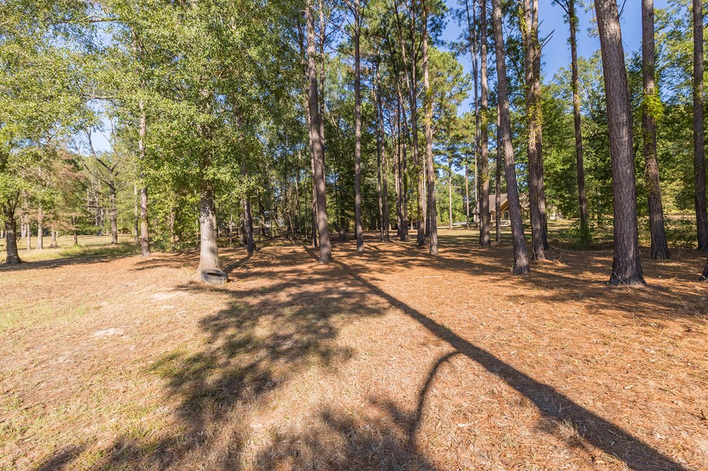 Etoile, Texas, 75944, United States, 3 Bedrooms Bedrooms, ,2 BathroomsBathrooms,Residential,For Sale,1989857