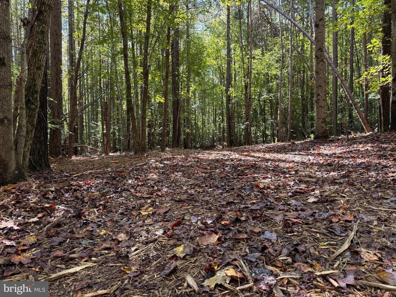 Appomattox, Virginia, 24522, United States, ,Land,For Sale,1982903
