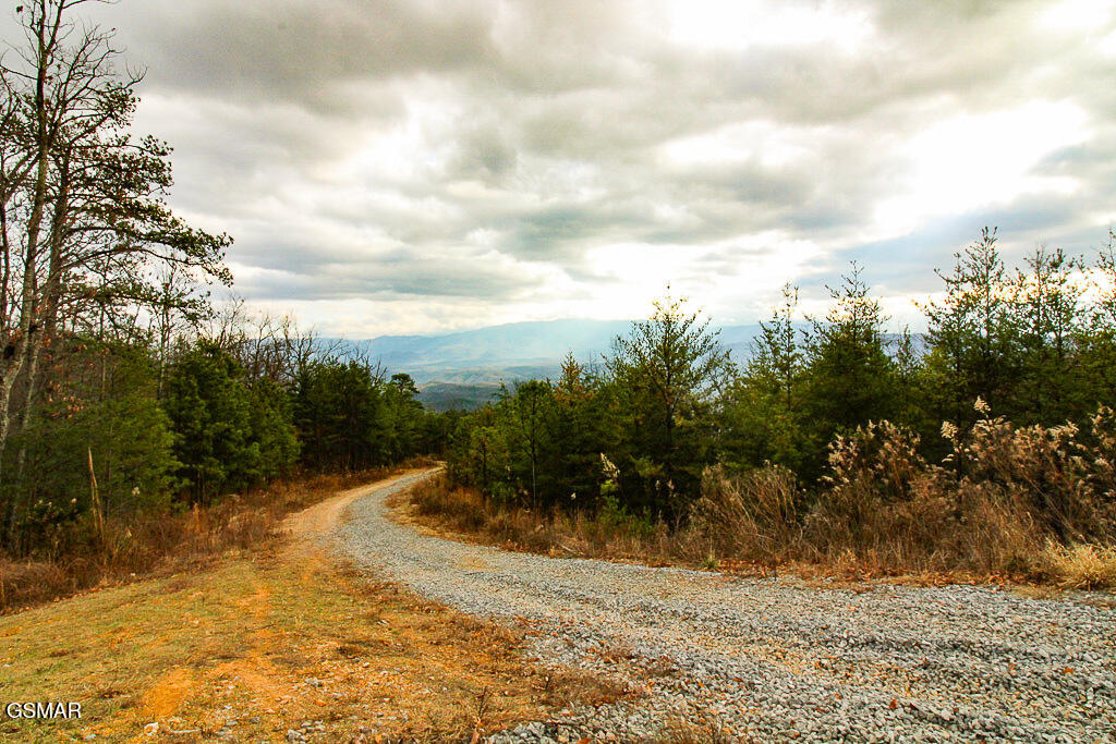 Sevierville, Tennessee, 37876, United States, ,Land,For Sale,2009102