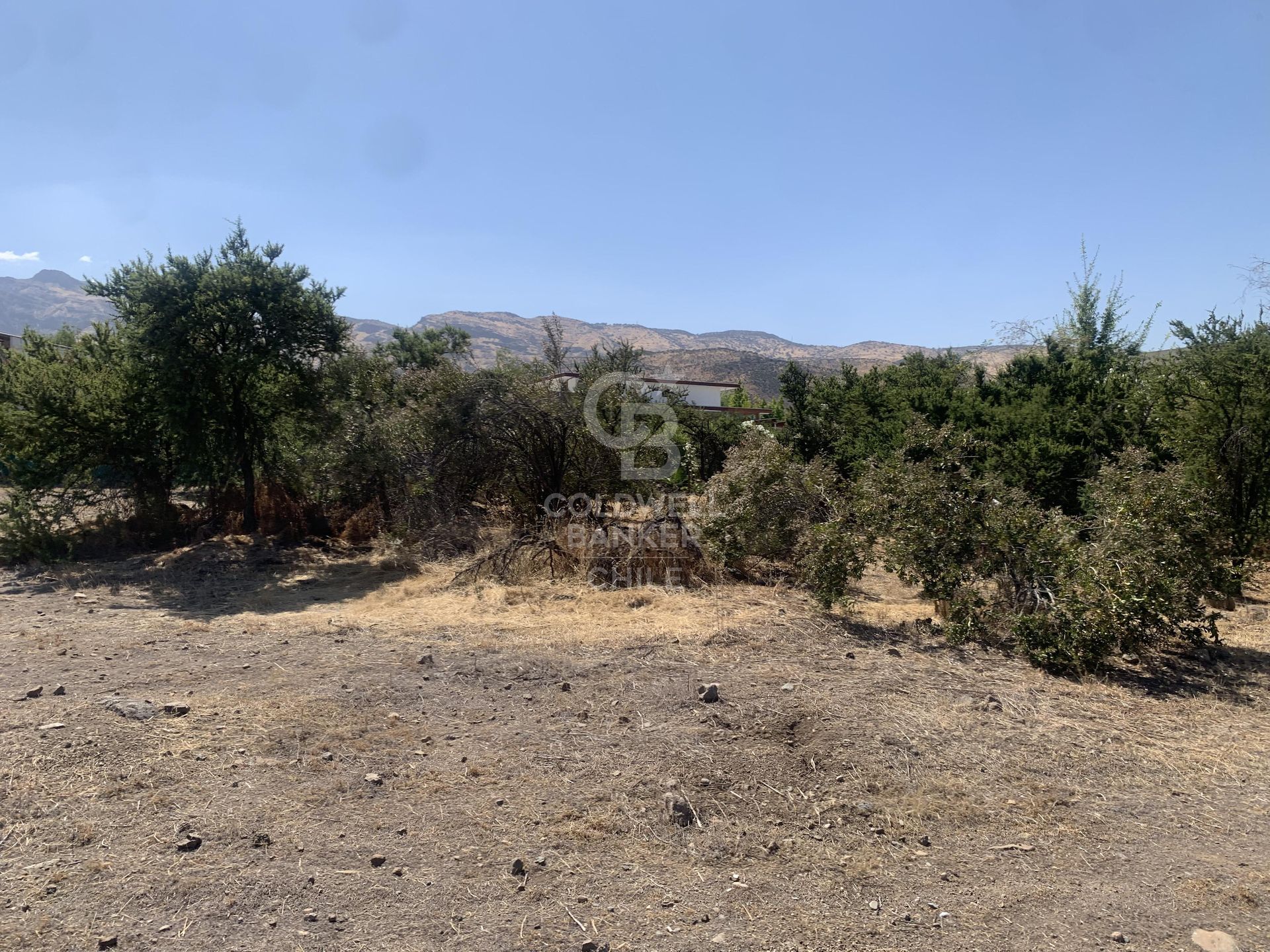 Colina, Chile, ,Land,For Sale,1696846