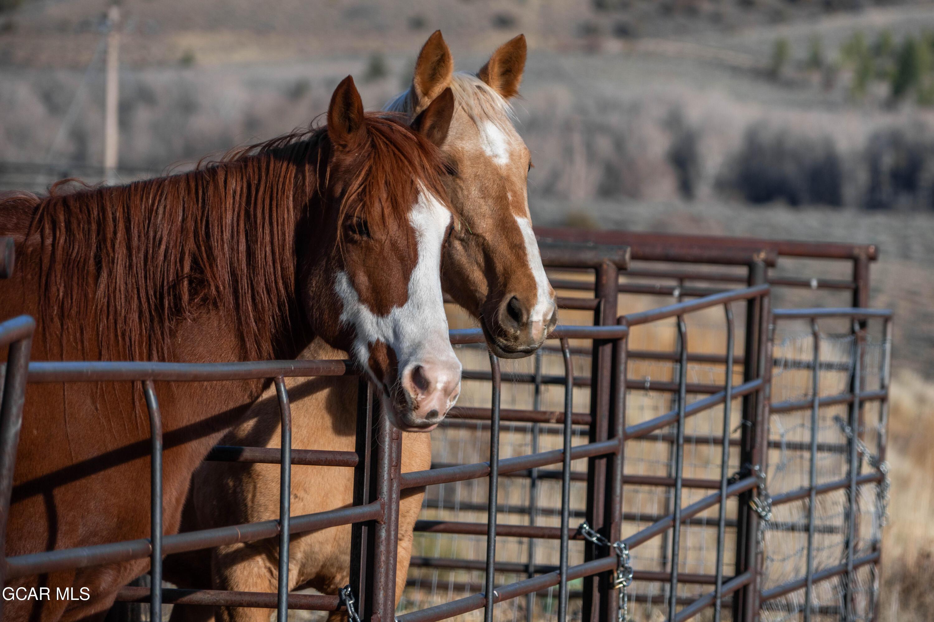 Hot Sulphur Springs, Colorado, 80451, United States, 6 Bedrooms Bedrooms, ,6 BathroomsBathrooms,Residential,For Sale,1999593