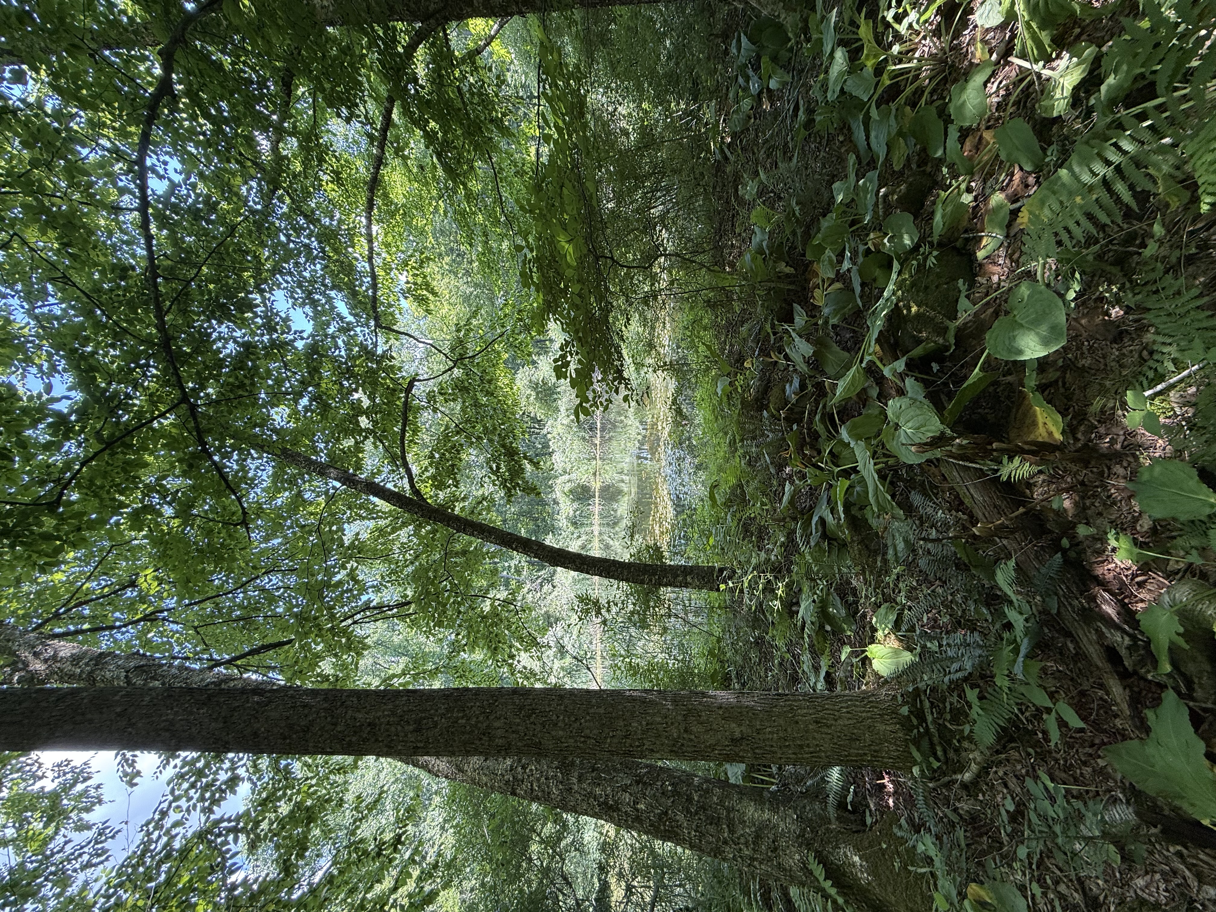  Bullymuck Road - 物件實景