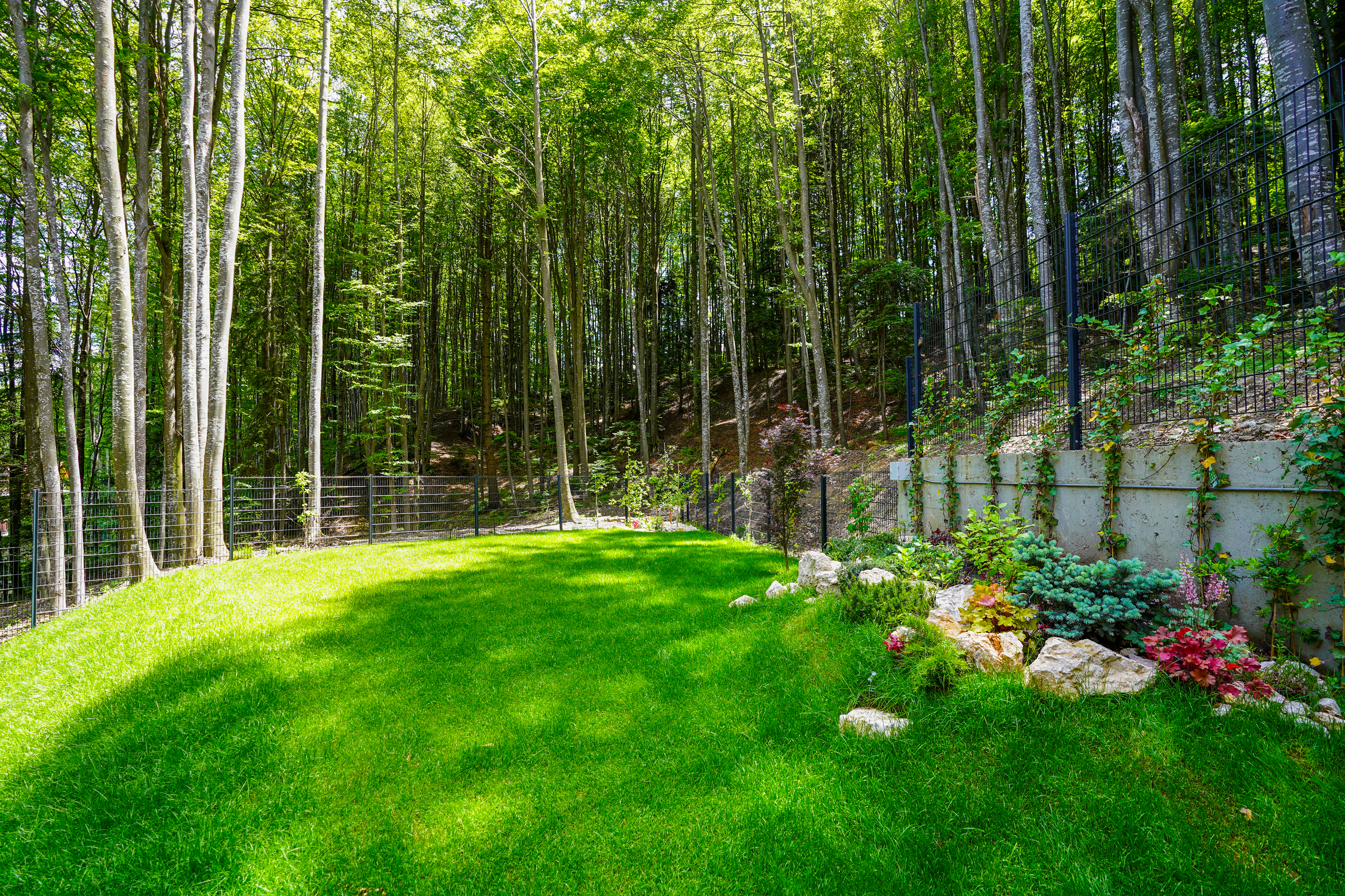  Modern Apartment Directly Adjacent to the Forest, Sinaia - 物件實景
