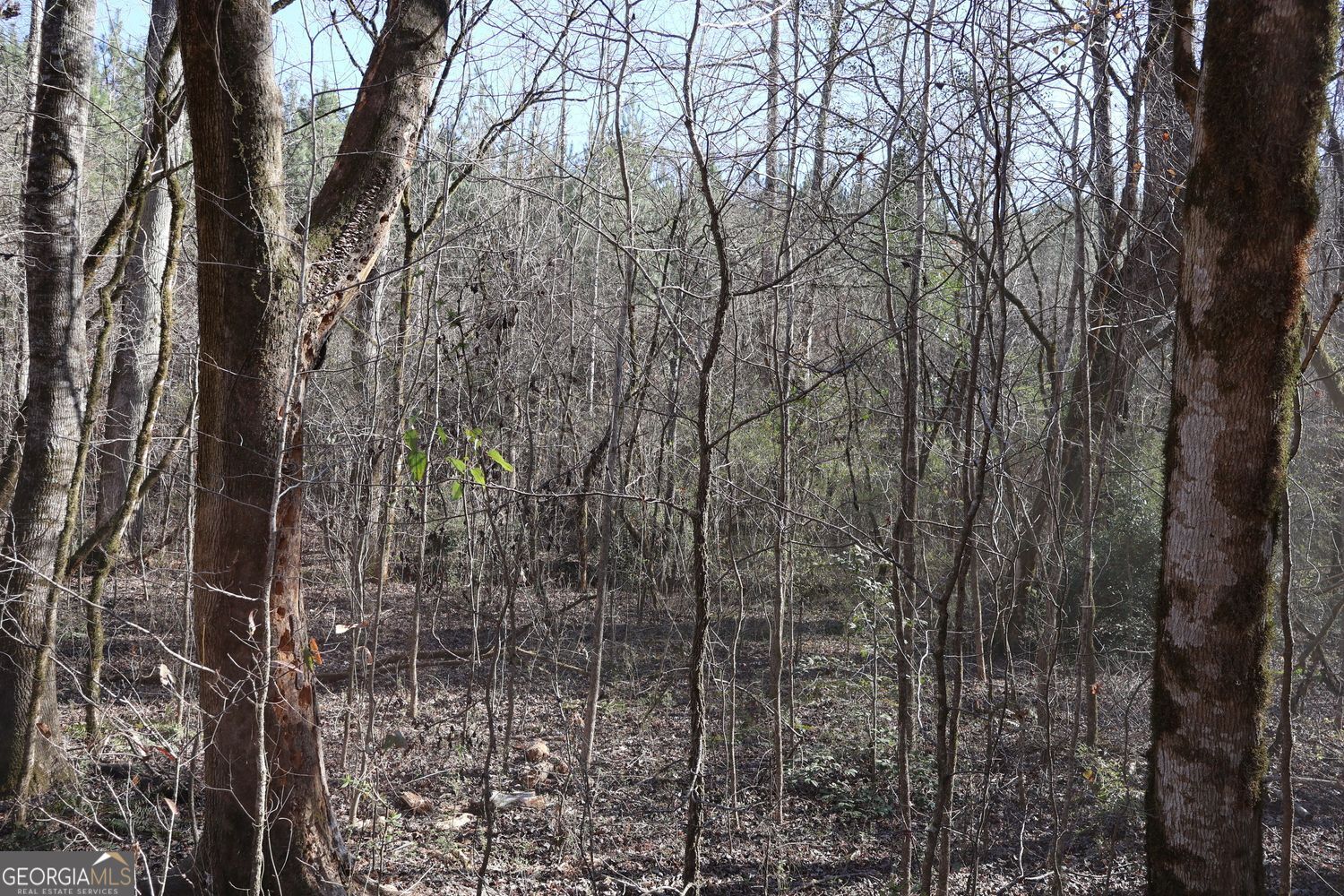 Forsyth, Georgia, 31029, United States, ,Land,For Sale,1907989