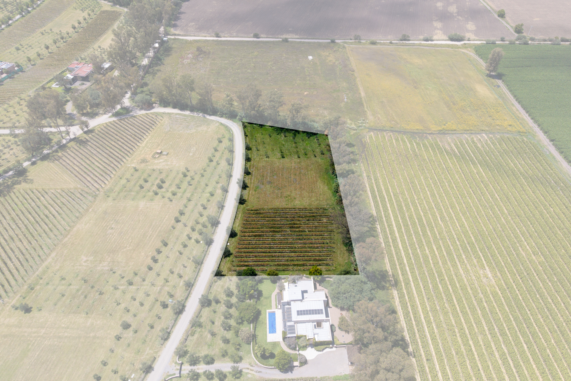  San Francisco Vineyards Lot 1 - 物件實景