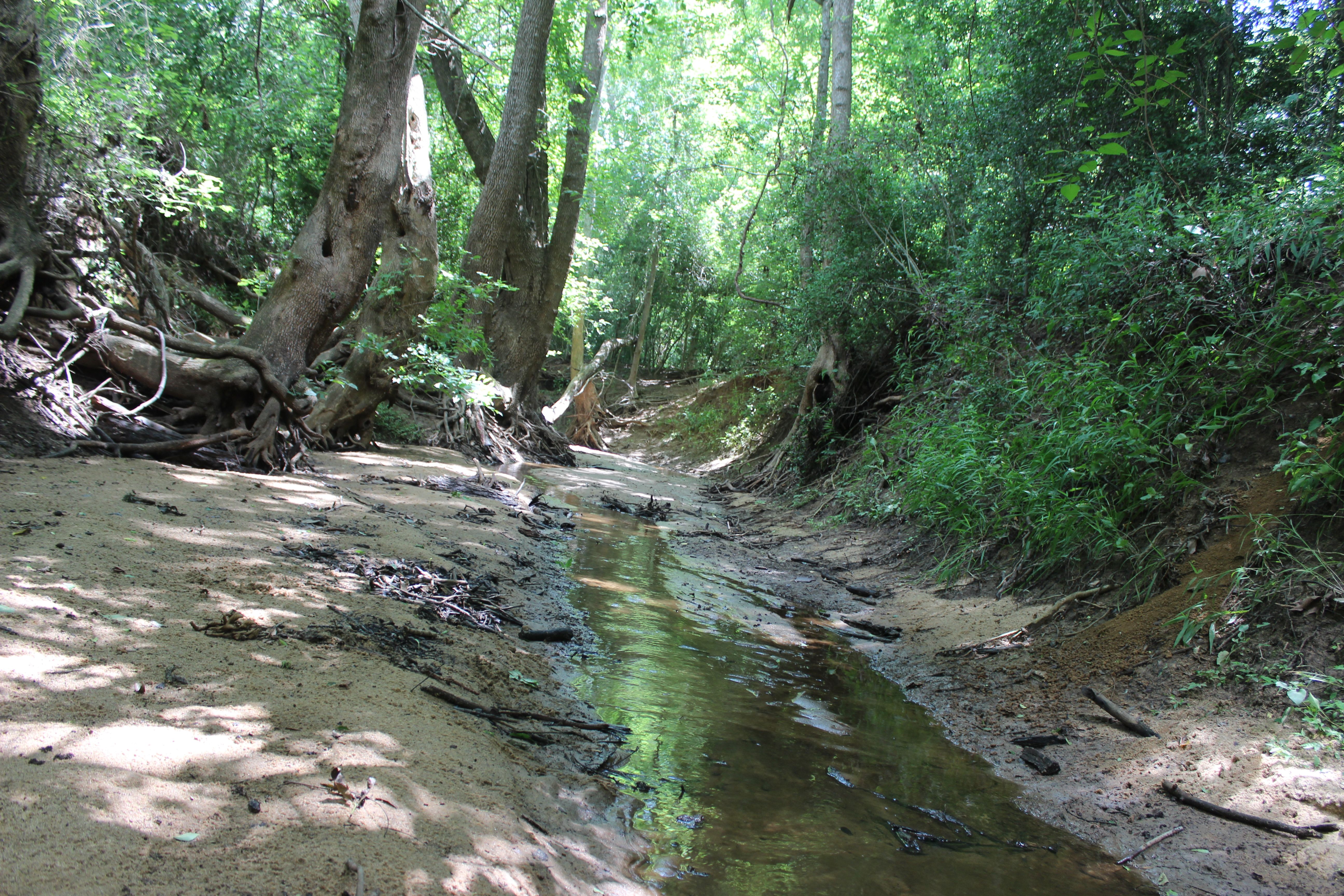  Buck Branch Ranch - 物件實景
