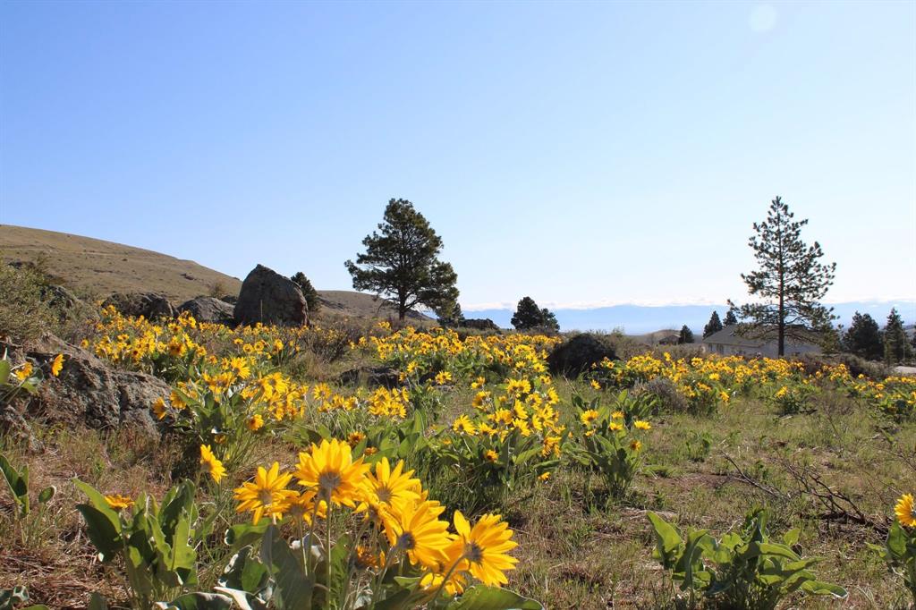 Helena, Montana, 59601, United States, 5 Bedrooms Bedrooms, ,4 BathroomsBathrooms,Residential,For Sale,2048262