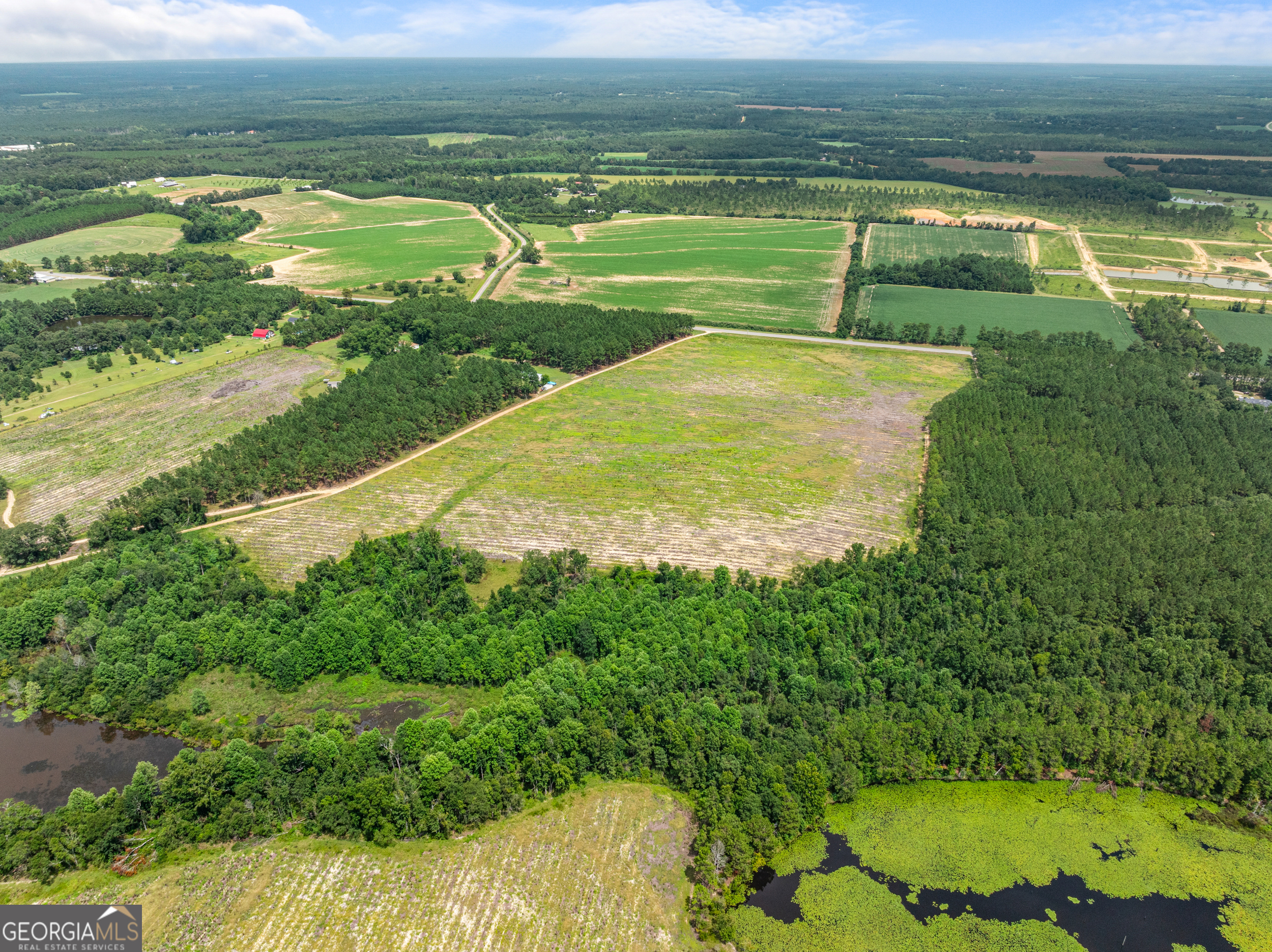 Statesboro, Georgia, 30458, United States, ,Land,For Sale,1911473