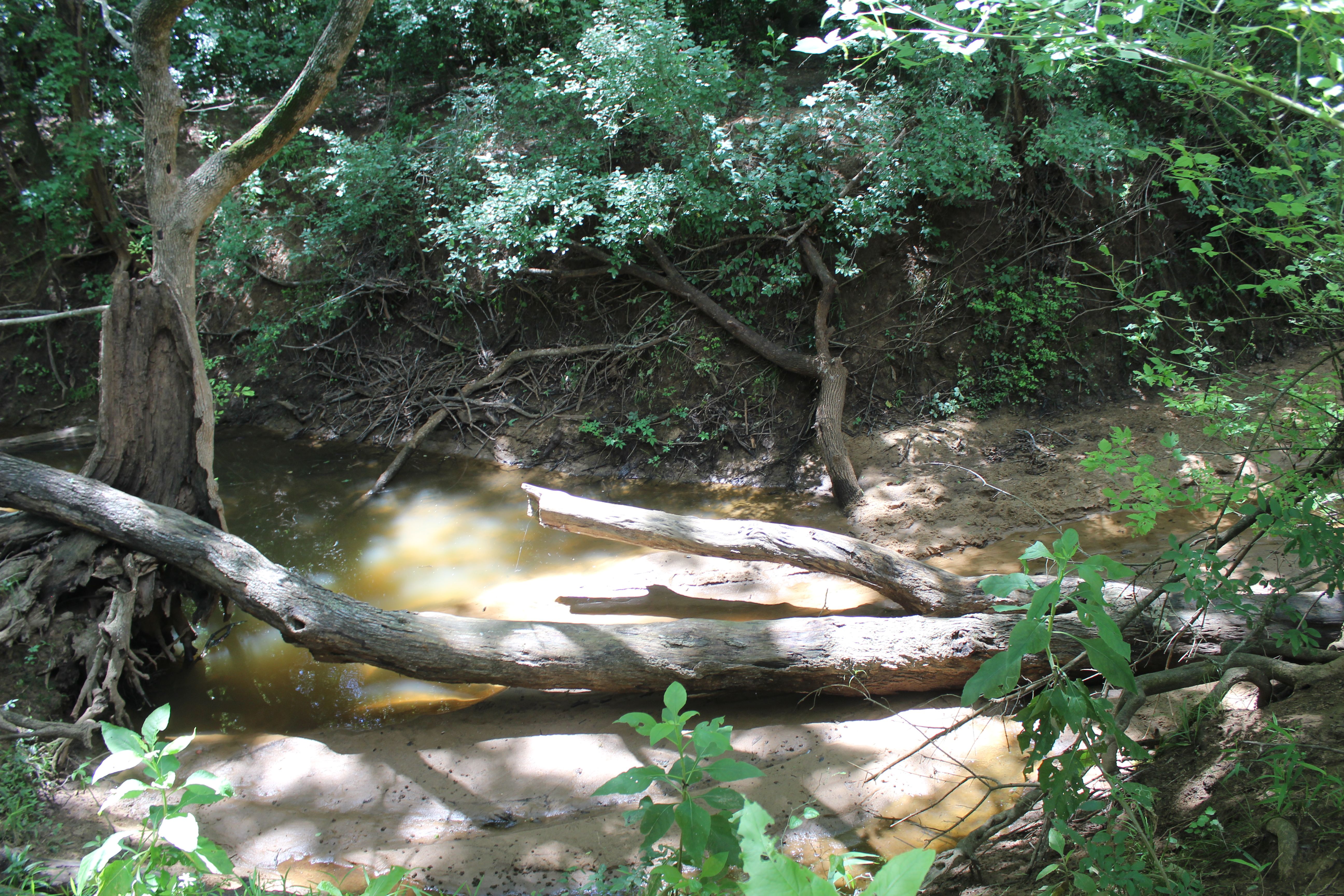  Buck Branch Ranch - 物件實景