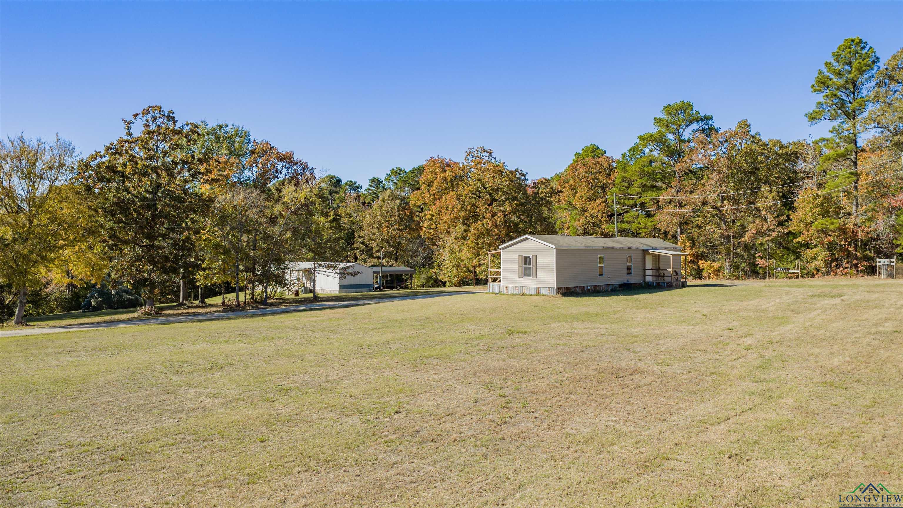 Diana, Texas, 75640, United States, ,Residential,For Sale,1993396