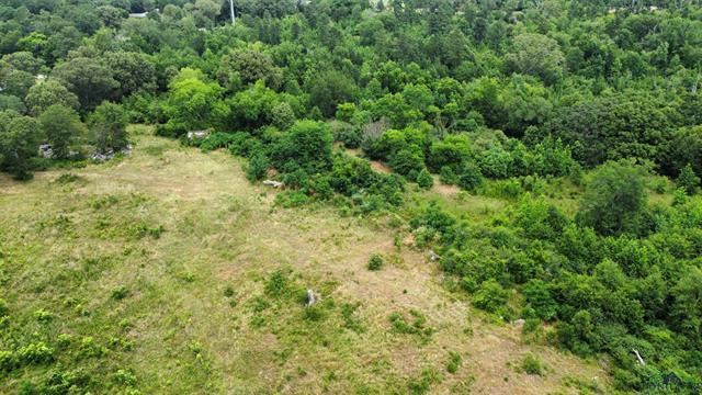 0000 US 259 N Millville Dr., Henderson, Texas, 75652, United States, ,Land,For Sale,0000 US 259 N Millville Dr.,1628323