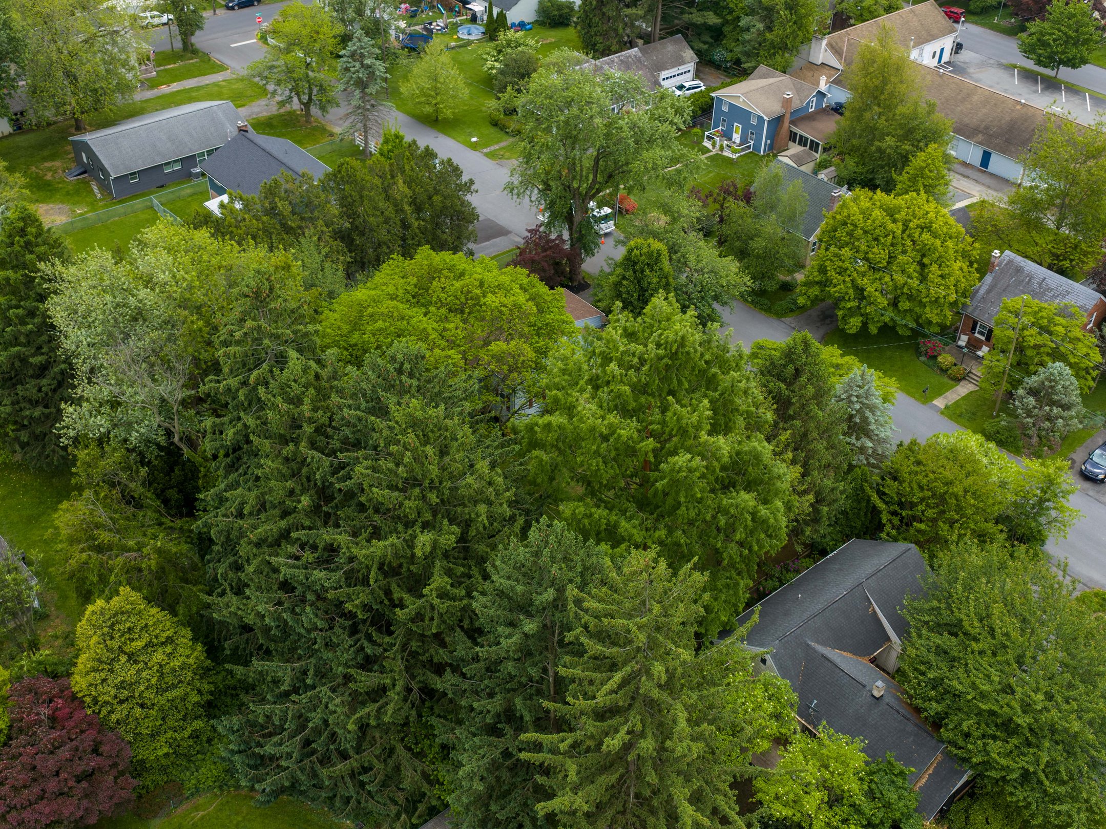  115 Grandview Ave - 物件實景