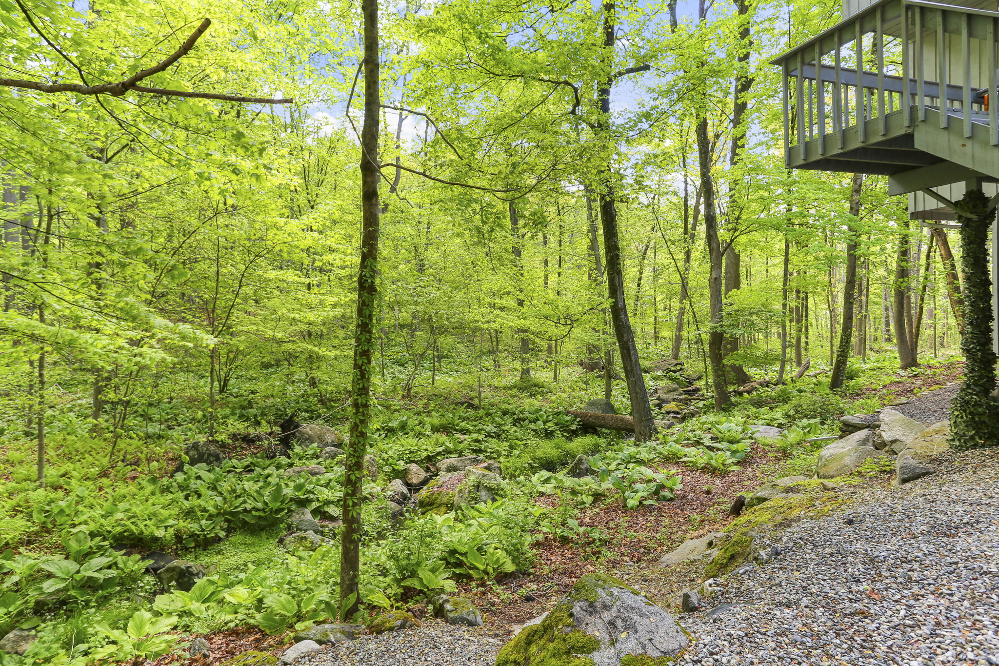  80 East Ridge Road - 物件實景