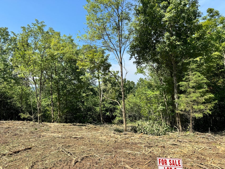 Somerset, Kentucky, 42501, United States, ,Residential,For Sale,1923151
