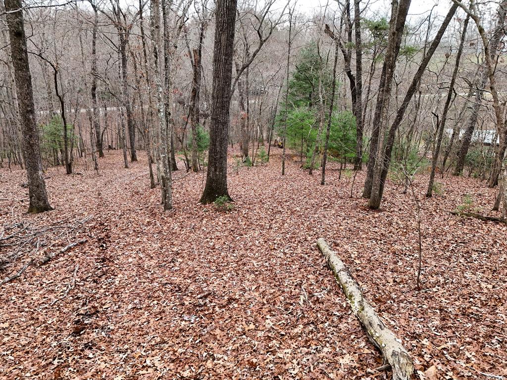 Blue Ridge, Georgia, 30513, United States, ,Land,For Sale,1859049