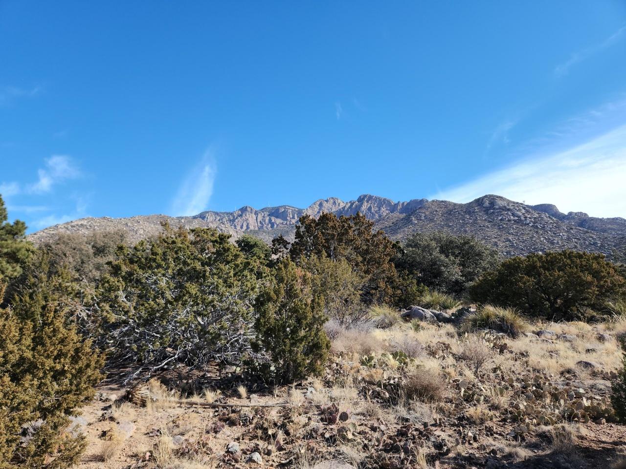 Albuquerque, New Mexico, 87122, United States, ,Land,For Sale,1700577