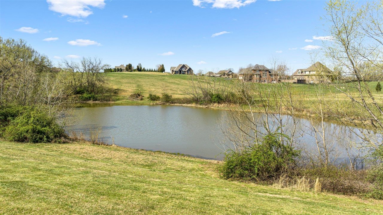 Alvaton, Kentucky, 42122, United States, ,Land,For Sale,1901427