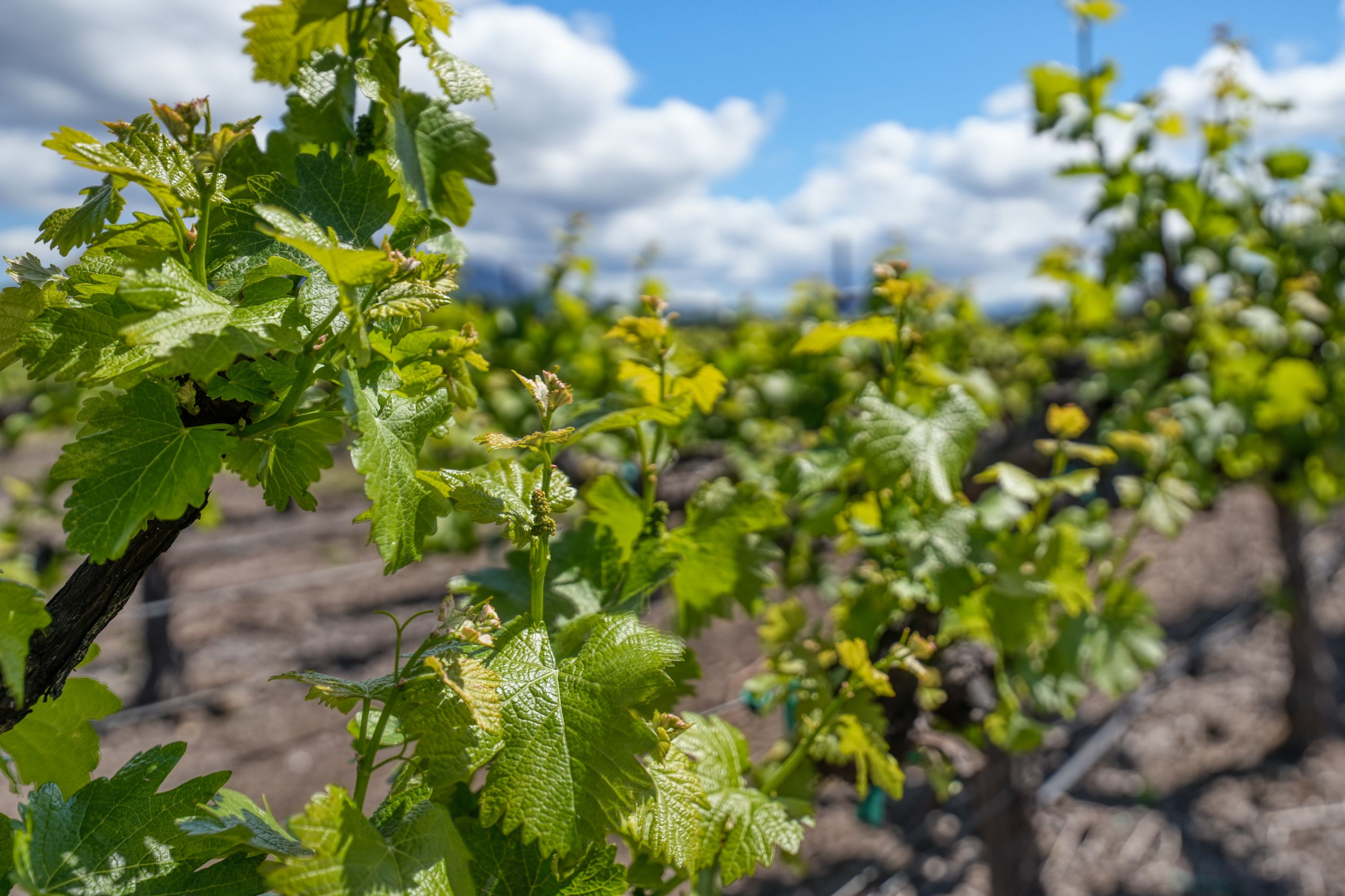  Lake County: The Place to Be - 物件實景