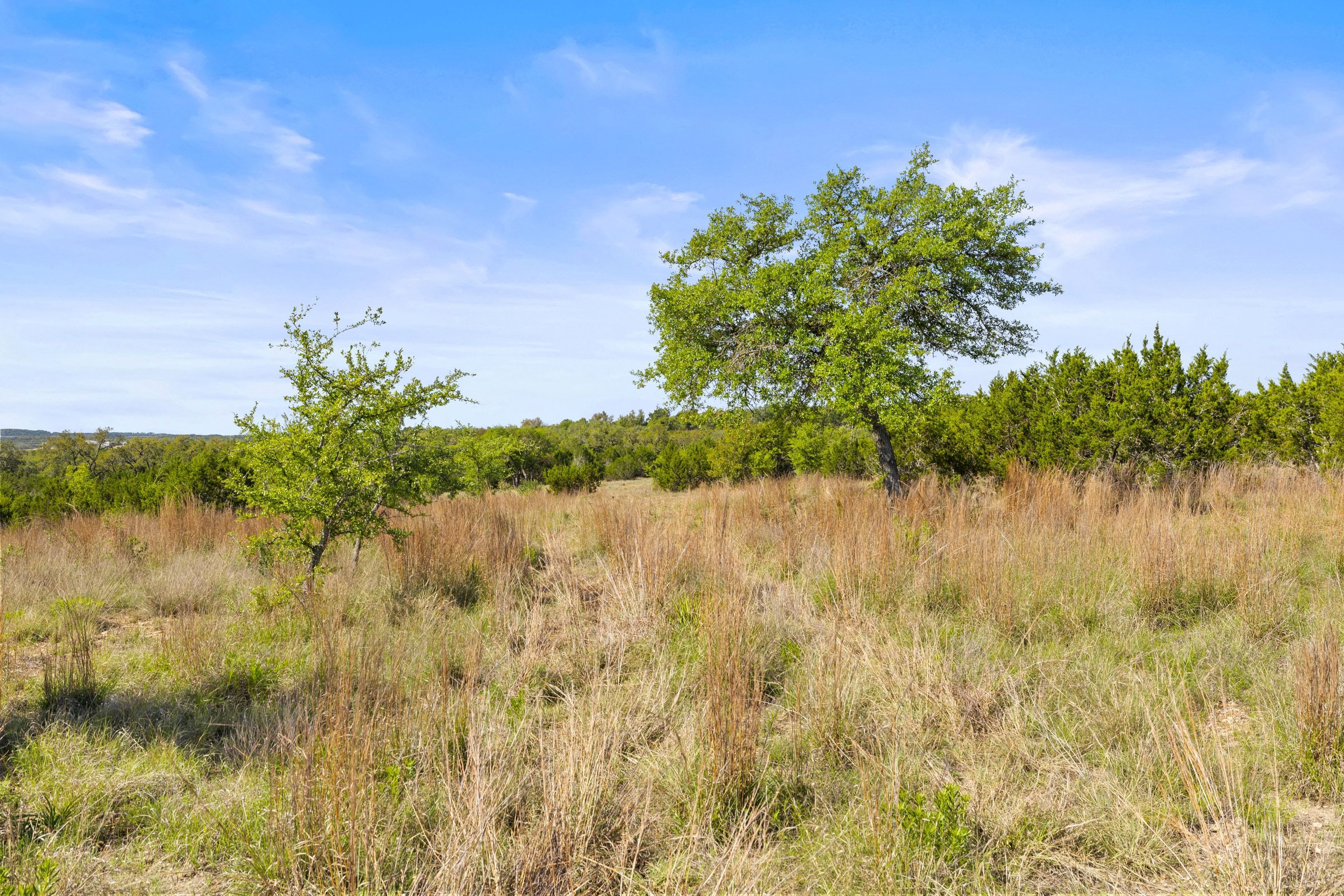  83 S Flat Rock Way - 5 Acre Lot in Gated Legacy Hills - 物件實景