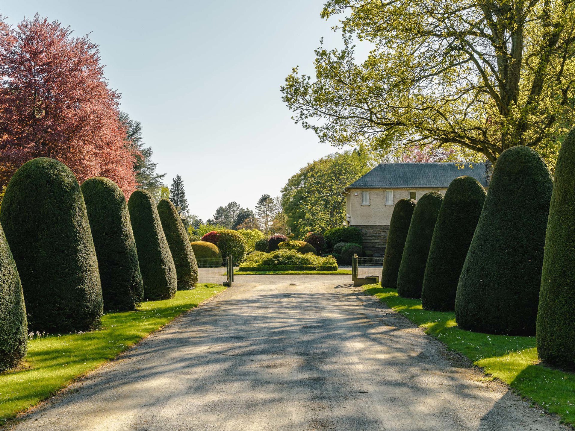  Rhode-Saint-Genèse I Forêt de Soignes - 物件實景