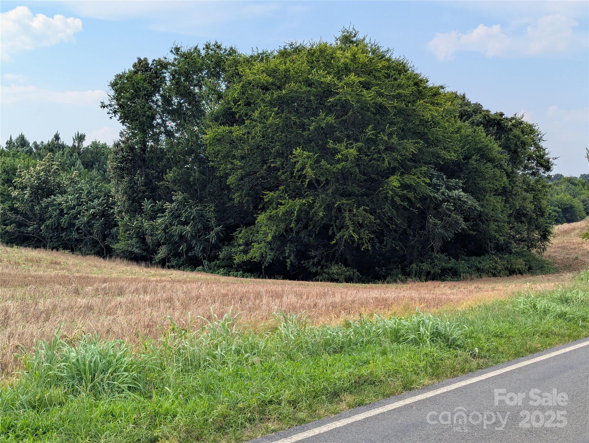 Polkton, North Carolina, 28135, United States, ,Land,For Sale,1976298