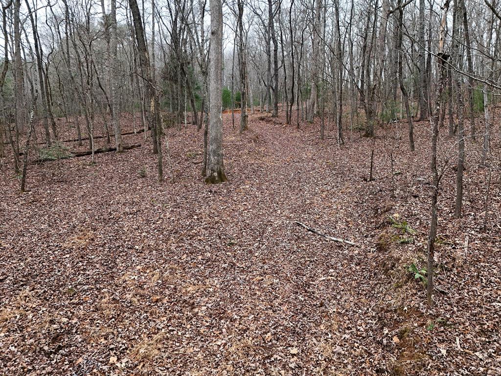 Blue Ridge, Georgia, 30513, United States, ,Land,For Sale,1859049