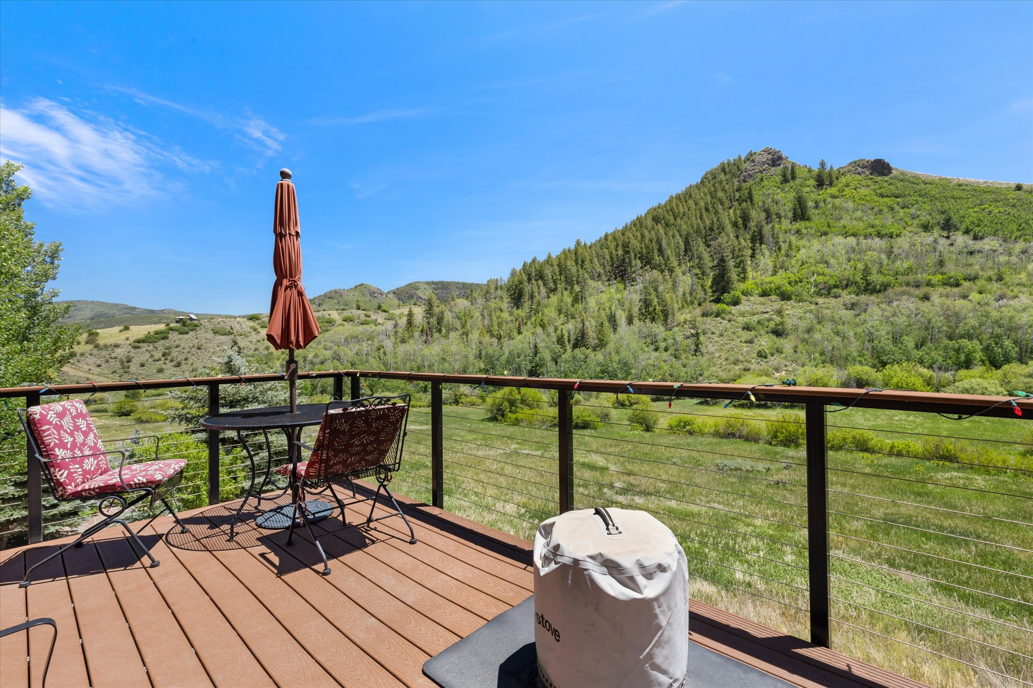  30390 Coyote Run Court, Oak Creek, CO, 80467 - 物件實景