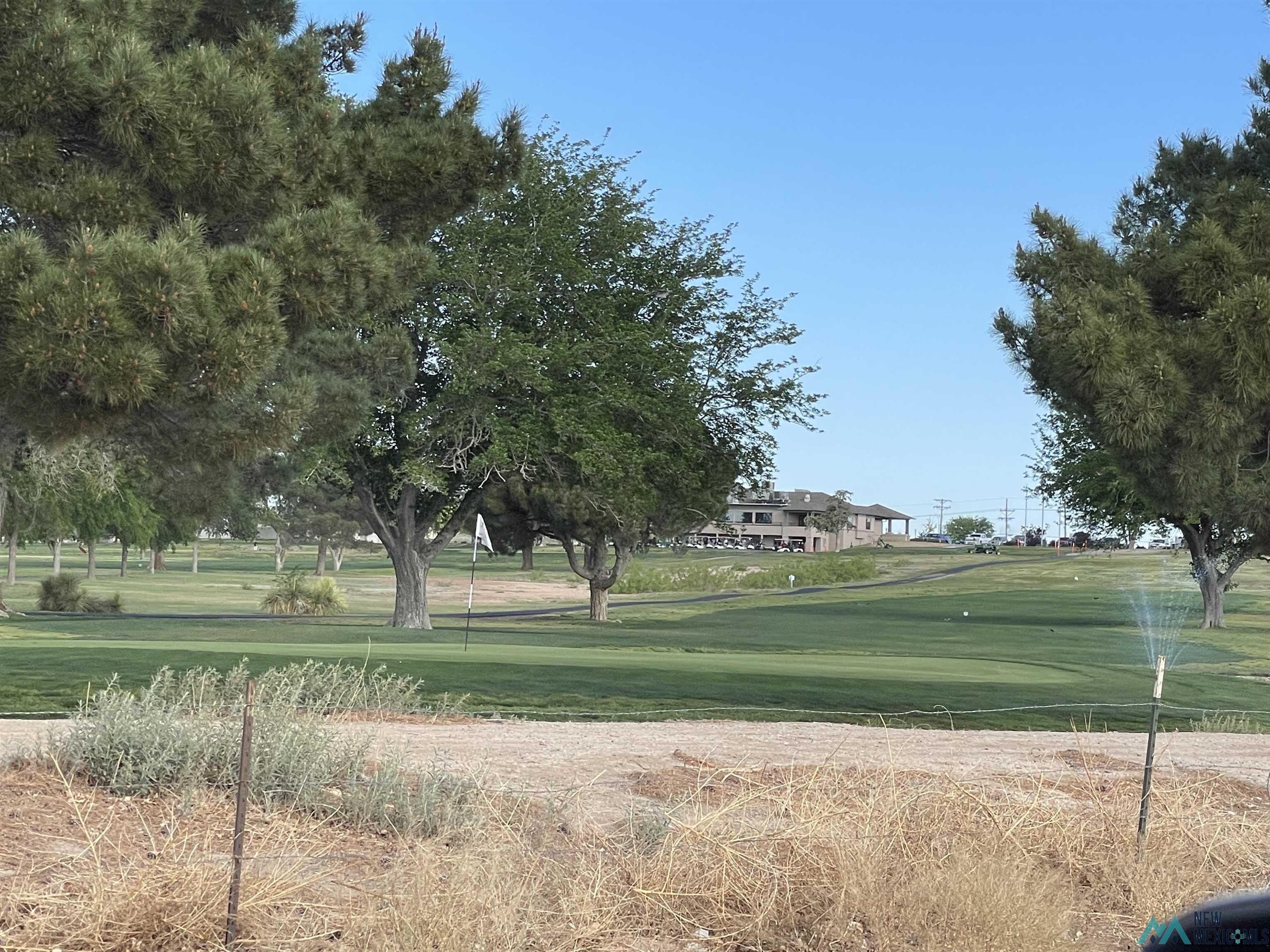 Artesia, New Mexico, 88210, United States, ,Land,For Sale,1978957