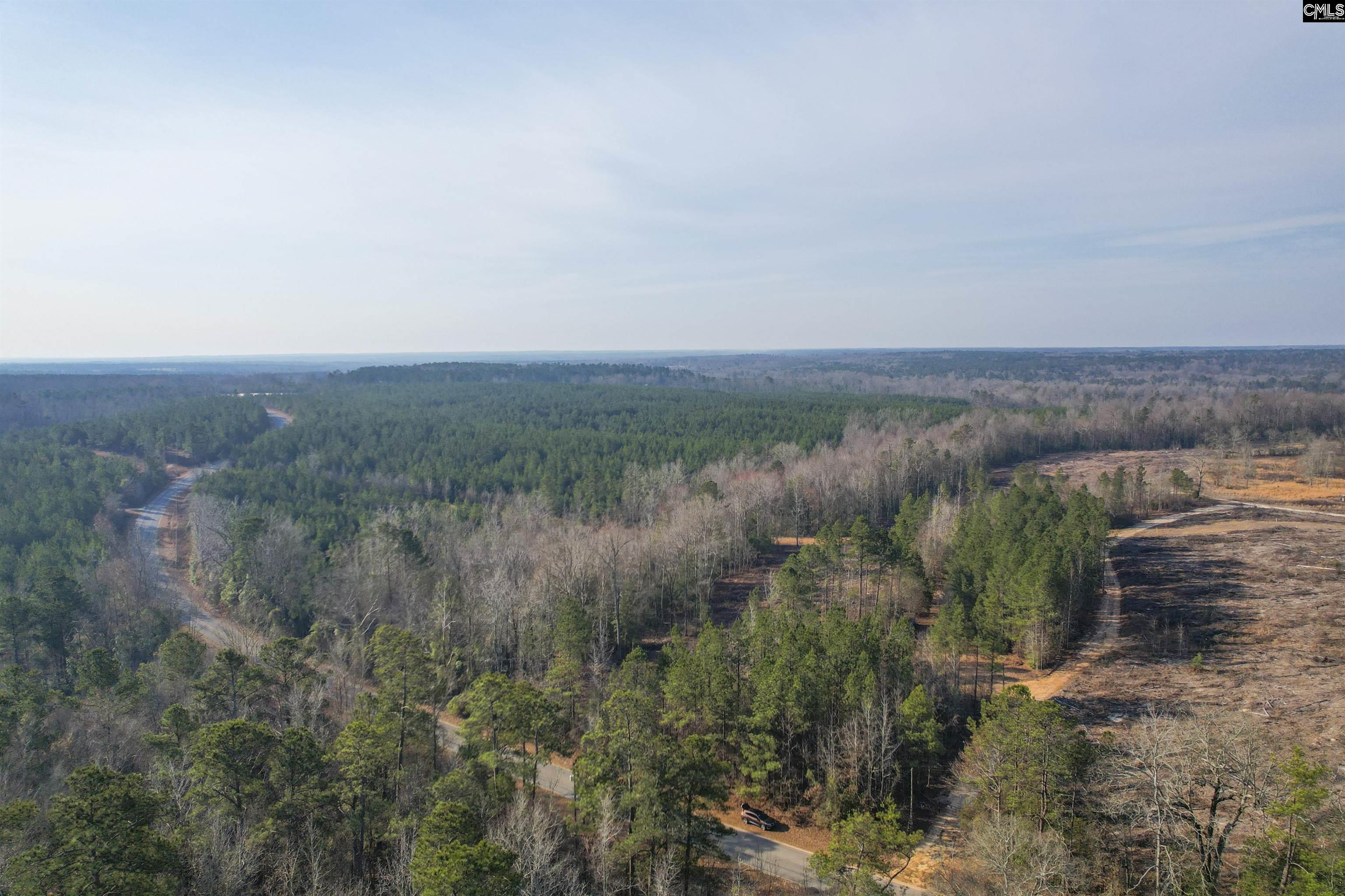 703 Neds Creek Road, Kershaw, South Carolina, 29067, United States, ,Land,For Sale,703 Neds Creek Road,1669372