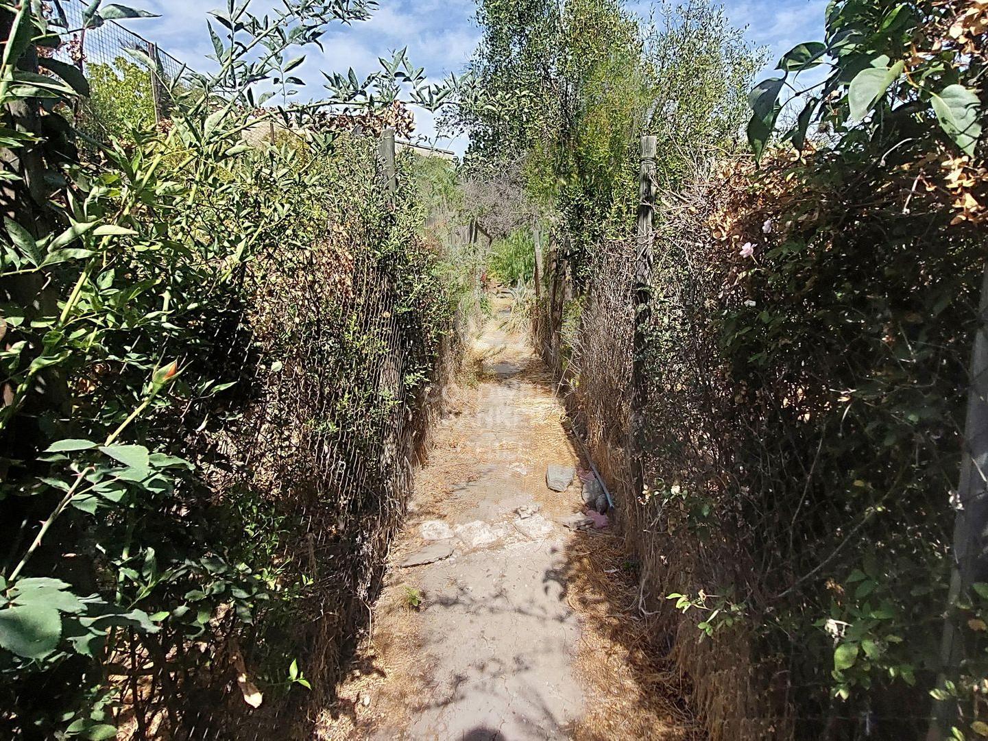 San Mart?n 675, Quillota, Chile, 5 Bedrooms Bedrooms, ,3 BathroomsBathrooms,Residential,For Sale,San Mart?n 675,1683189