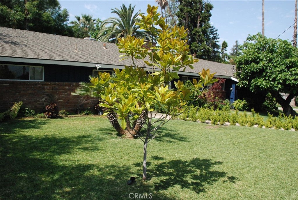 Redlands, California, 92373, United States, 3 Bedrooms Bedrooms, ,Residential,For Sale,1870678