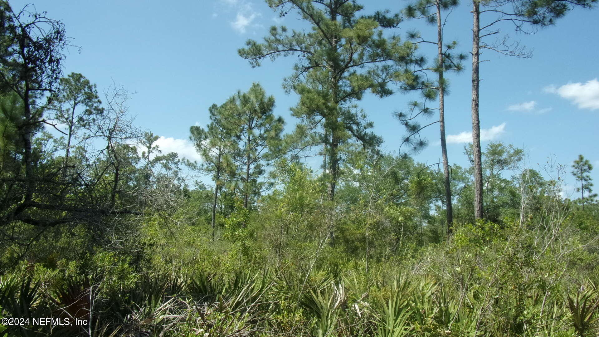 Palatka, Florida, 32177, United States, ,Residential,For Sale,1924559