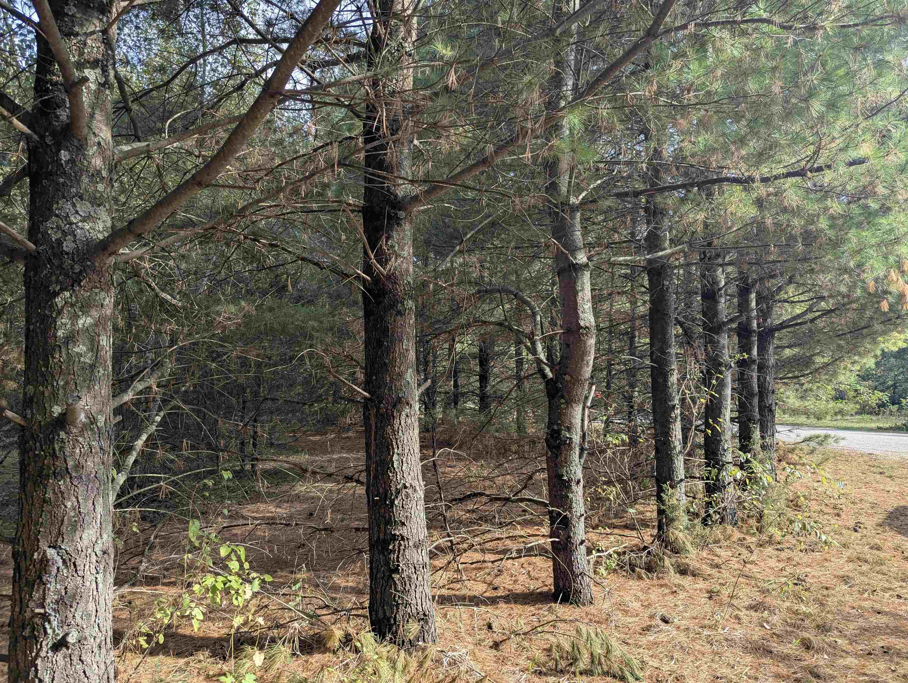 Friendship, Wisconsin, 53934, United States, 4 Bedrooms Bedrooms, ,2 BathroomsBathrooms,Residential,For Sale,1976127