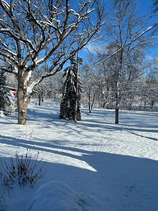 Richfield, Minnesota, 55423, United States, 3 Bedrooms Bedrooms, ,1 BathroomBathrooms,Residential,For Sale,1938909