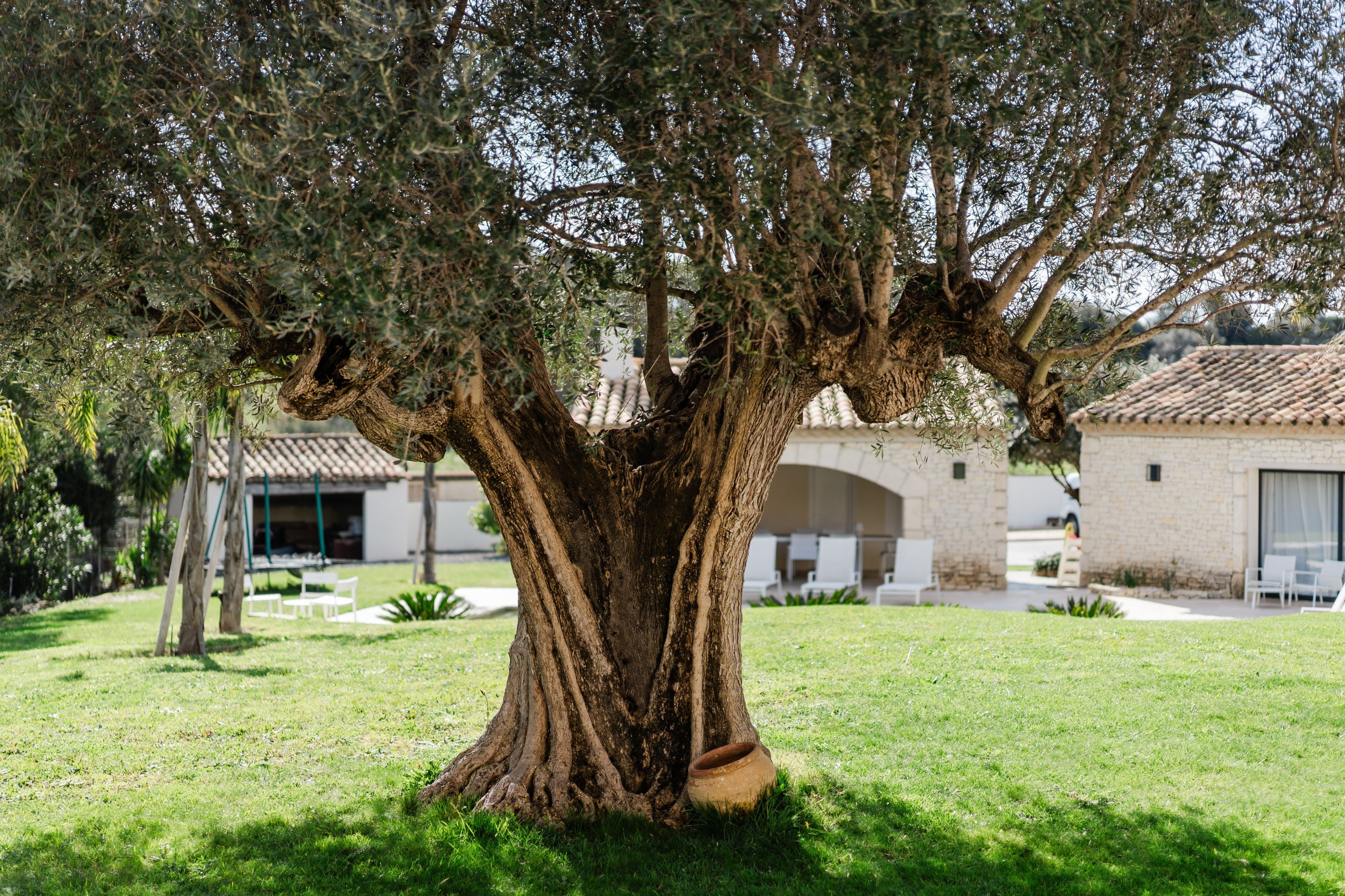  A taste of Provence on the doorstep of Perpignan:  over 340 sqm  set on 3,000 s… - 物件實景