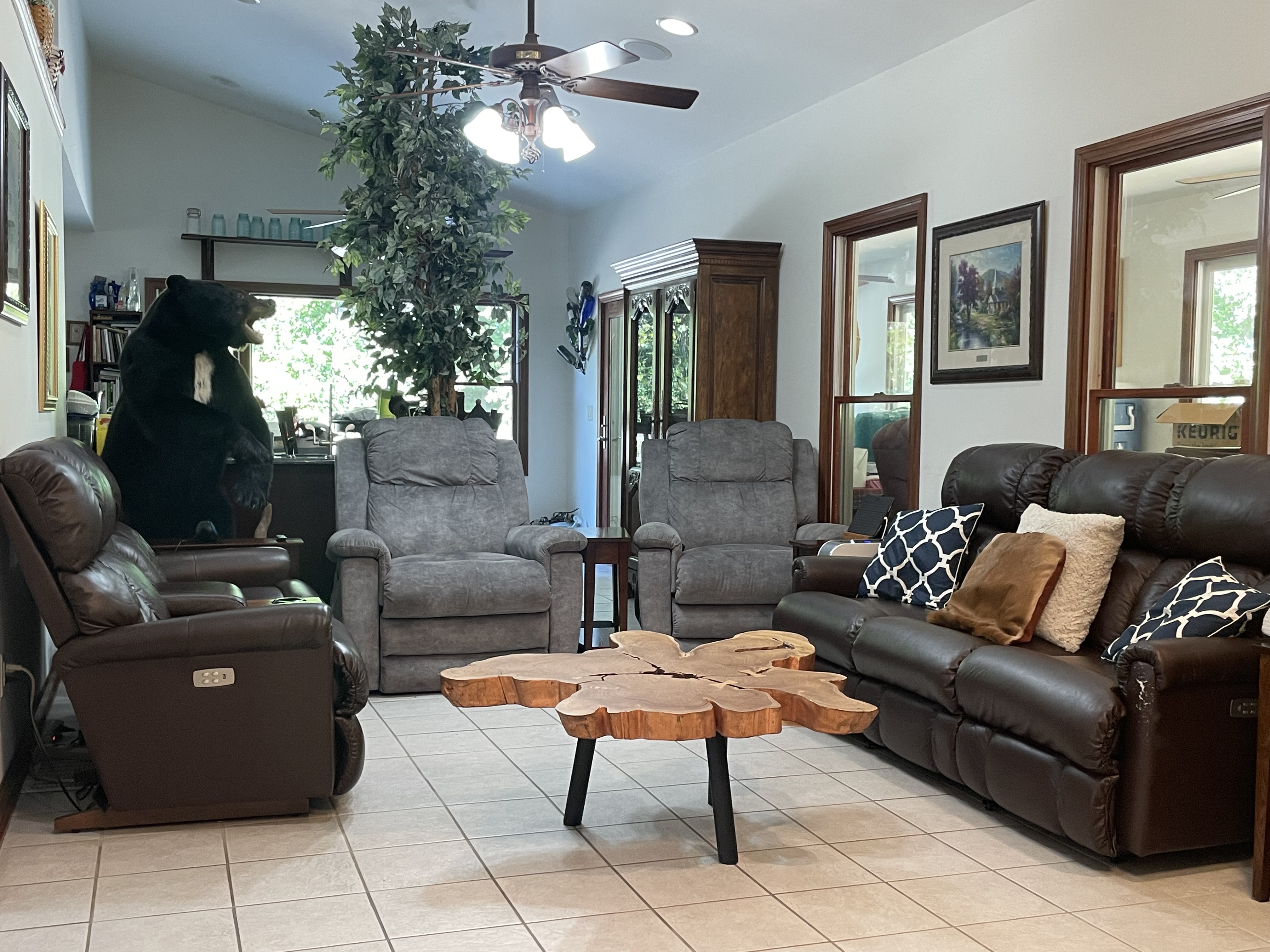 Murphysboro, Illinois, 62966, United States, 5 Bedrooms Bedrooms, ,6 BathroomsBathrooms,Residential,For Sale,1977081