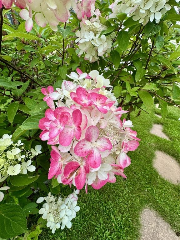 Bemidji, Minnesota, 56601, United States, 6 Bedrooms Bedrooms, ,2 BathroomsBathrooms,Residential,For Sale,2000102