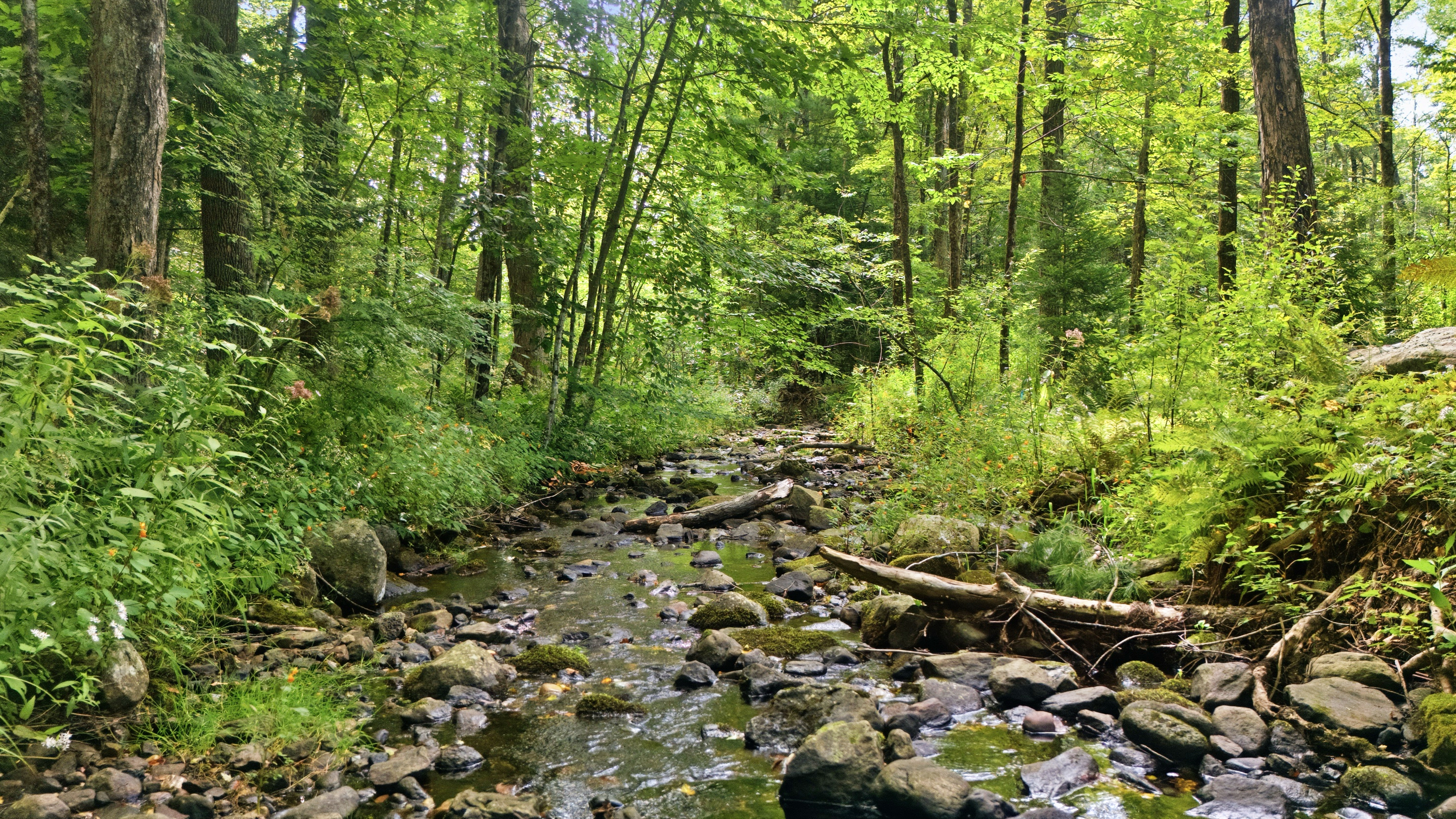  Turnkey Berkshire Cottage on Shales Brook - 物件實景