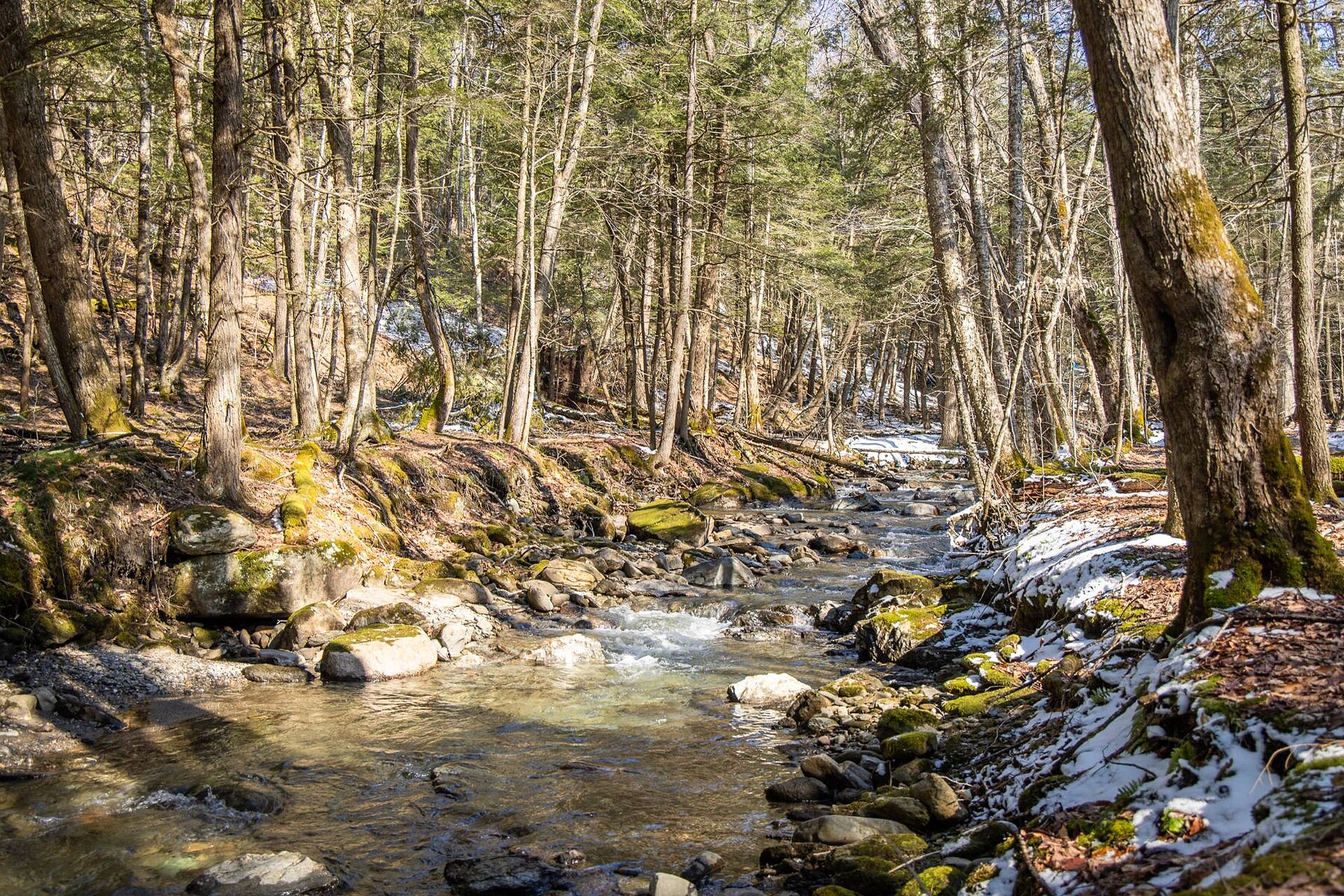  Sutton, Eastern Townships - 物件實景