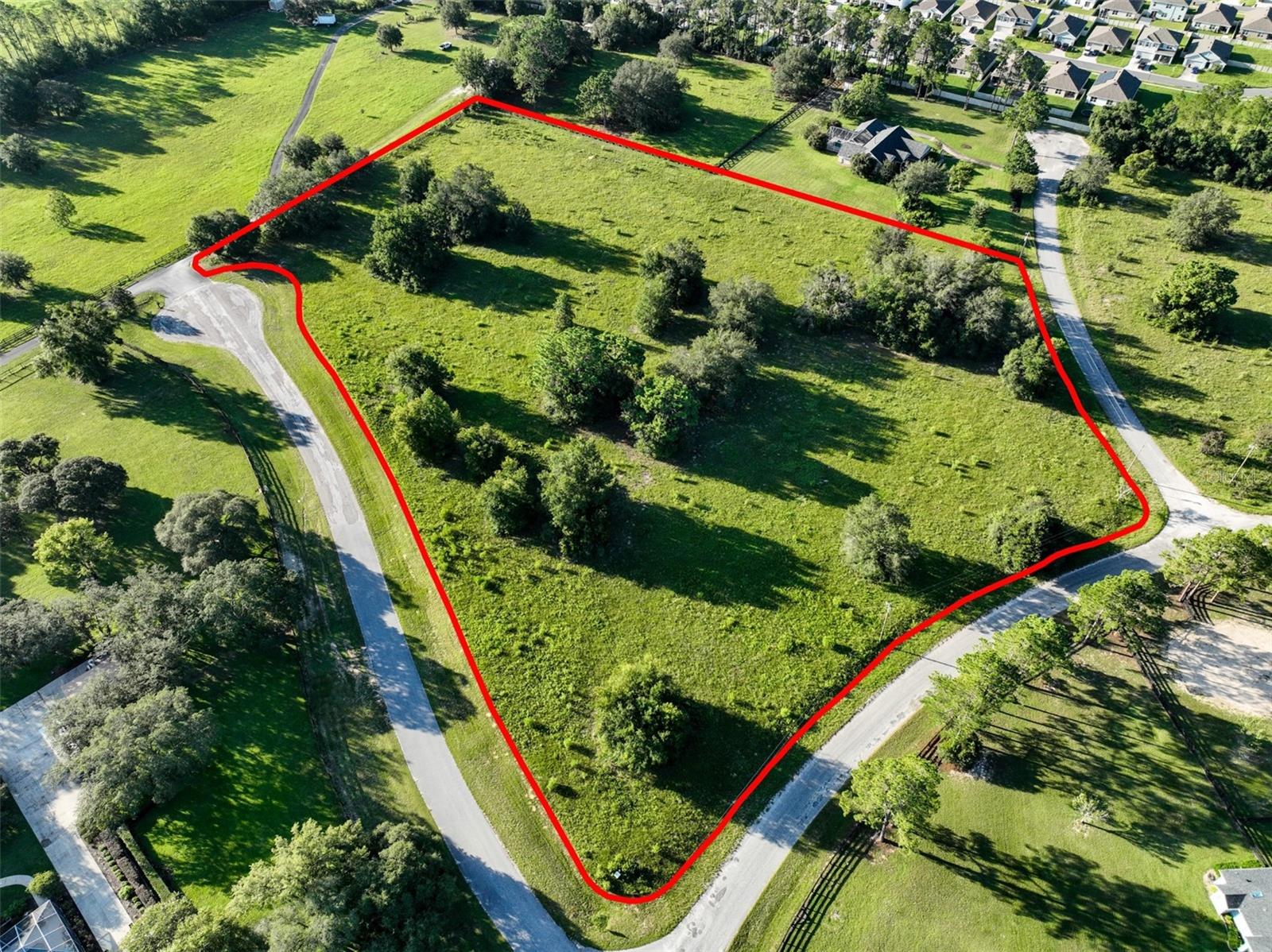 OCALA, Florida, 34476, United States, ,Land,For Sale,1907653