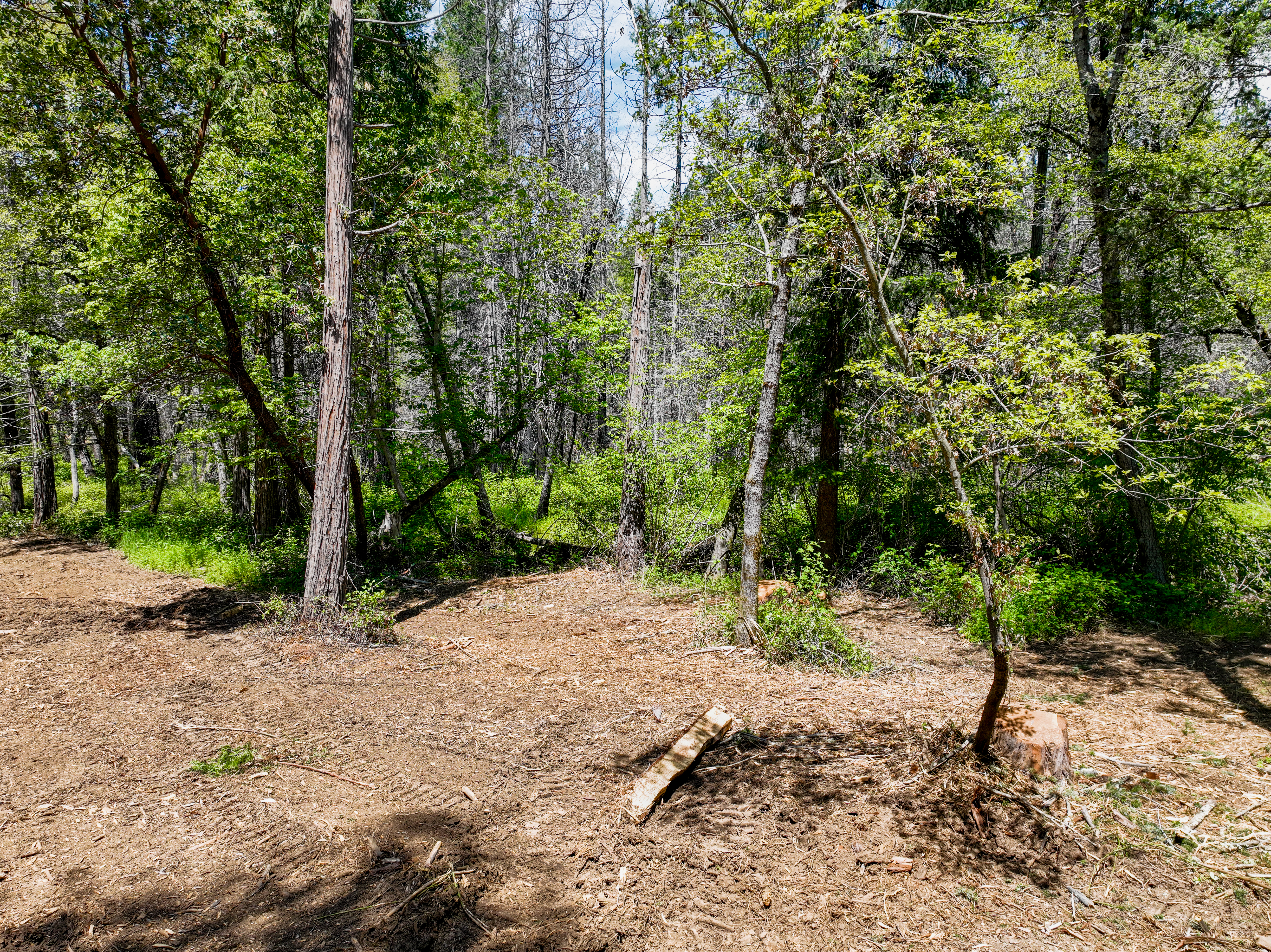  20493 Rector Road, Nevada City, CA 95959 - 物件實景