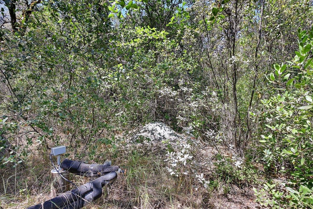 Oregon House, California, 95962, United States, ,Land,For Sale,1975767